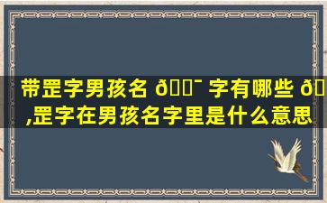 带罡字男孩名 🐯 字有哪些 🐶 ,罡字在男孩名字里是什么意思